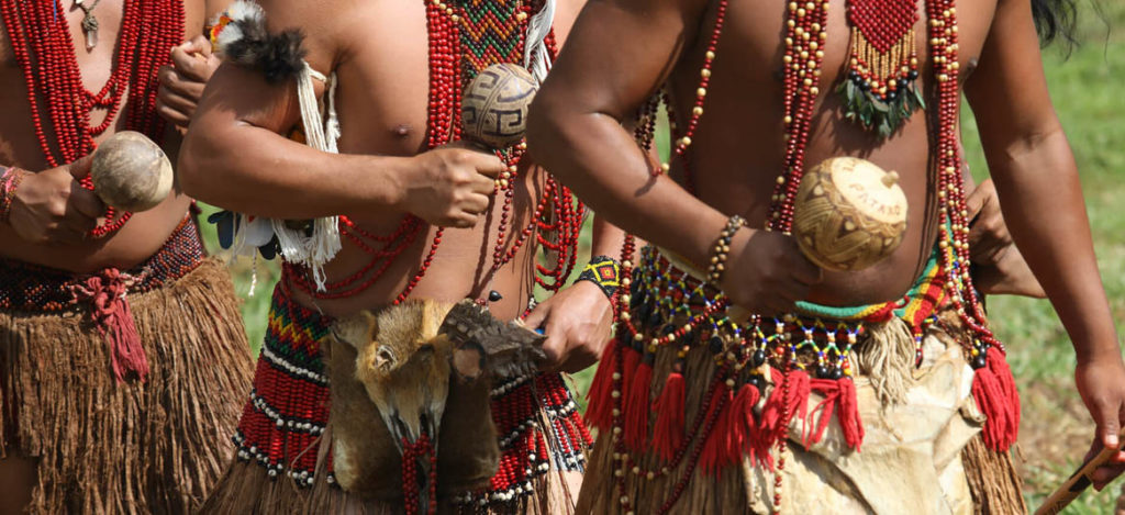 etnias indígenas brasileiras